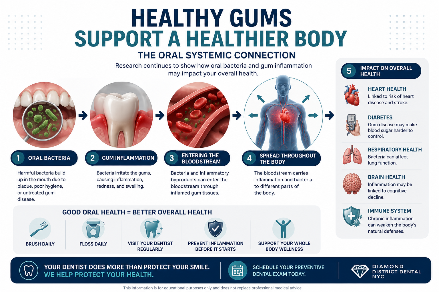 Oral health and overall health connection infographic showing how gum inflammation and oral bacteria may affect overall wellness