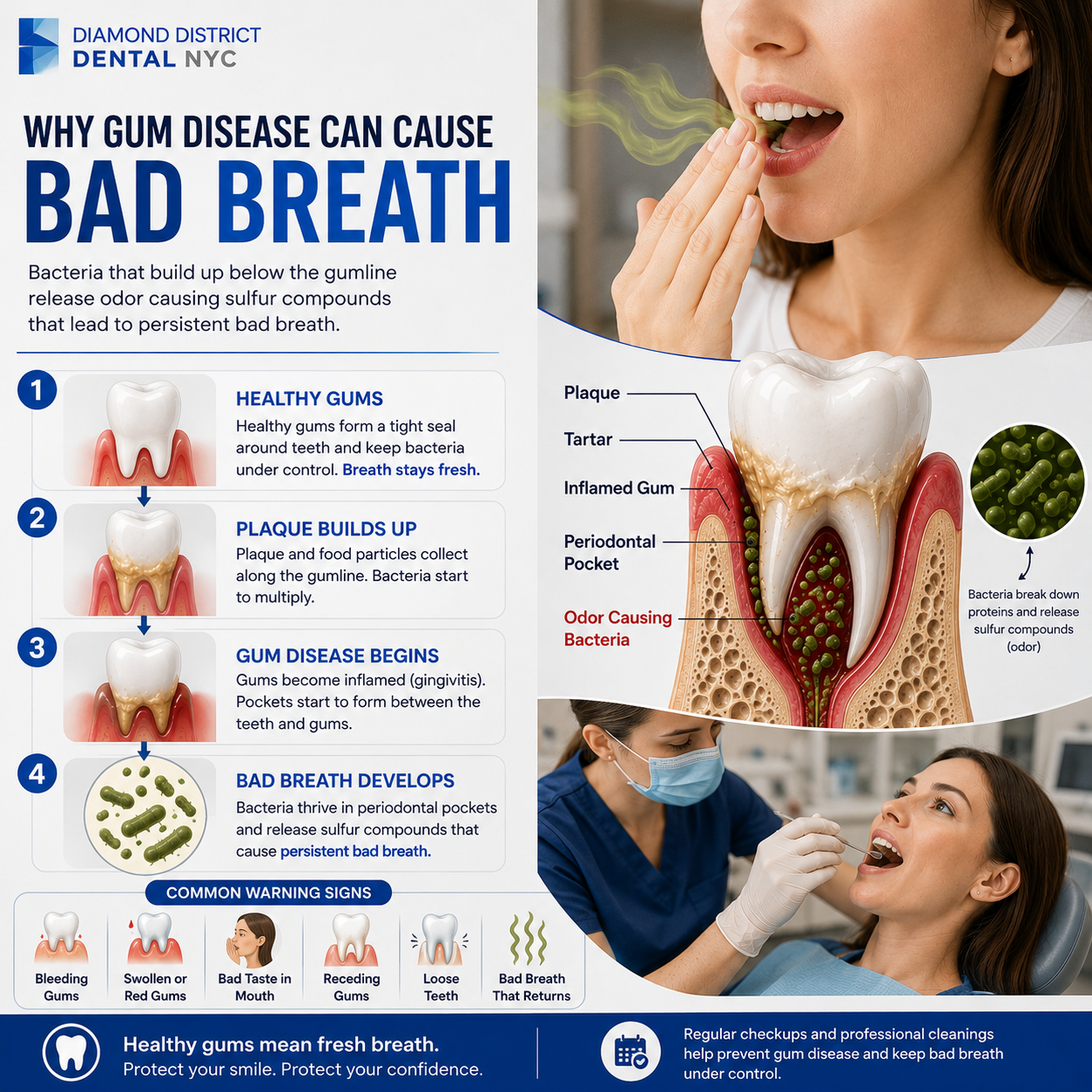 How to get rid of persistent bad breath infographic explaining how gum disease, plaque buildup, and periodontal bacteria cause chronic bad breath.